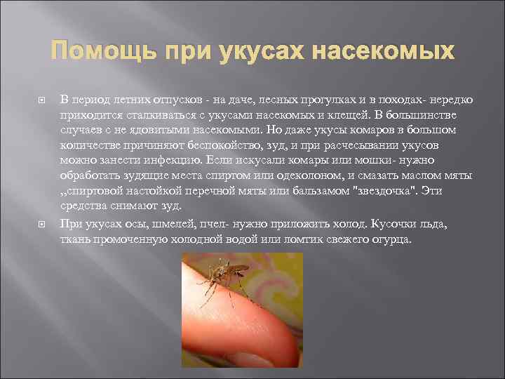 Помощь при укусах насекомых В период летних отпусков - на даче, лесных прогулках и
