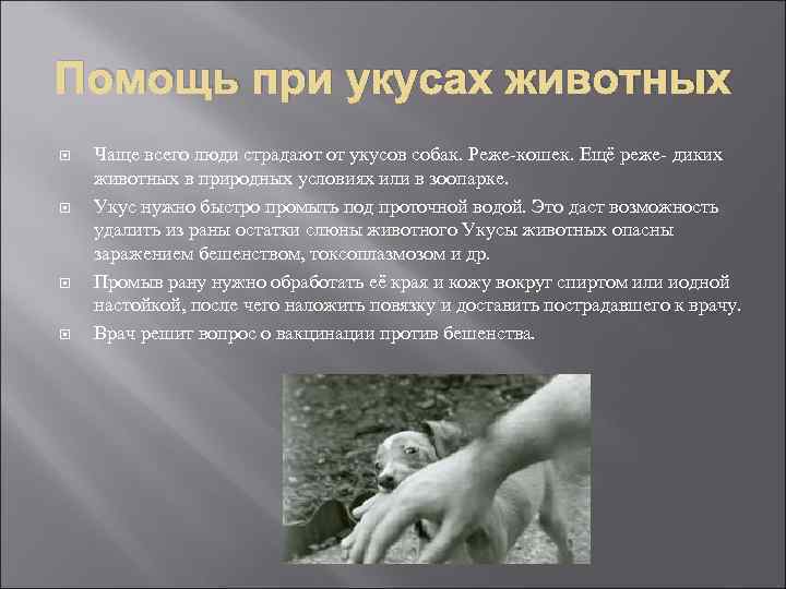 Помощь при укусах животных Чаще всего люди страдают от укусов собак. Реже-кошек. Ещё реже-