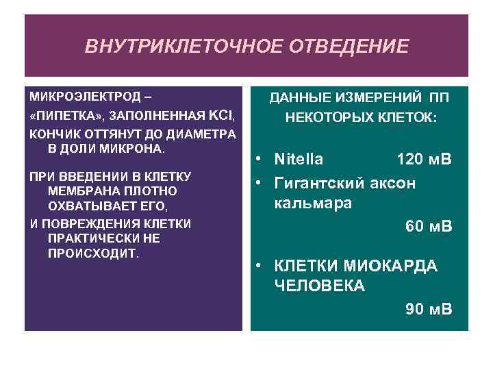 ВНУТРИКЛЕТОЧНОЕ ОТВЕДЕНИЕ МИКРОЭЛЕКТРОД – «ПИПЕТКА» , ЗАПОЛНЕННАЯ KCl, КОНЧИК ОТТЯНУТ ДО ДИАМЕТРА В ДОЛИ