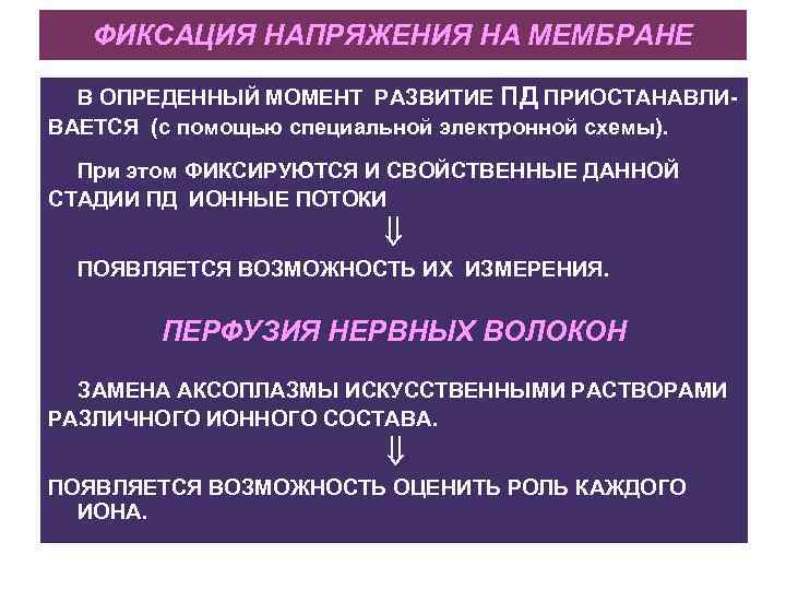 Момент развития