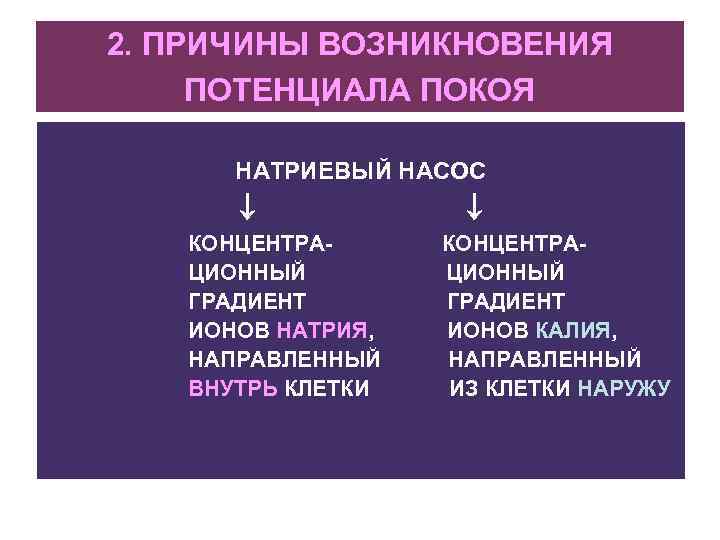 2. ПРИЧИНЫ ВОЗНИКНОВЕНИЯ ПОТЕНЦИАЛА ПОКОЯ НАТРИЕВЫЙ НАСОС КОНЦЕНТРАЦИОННЫЙ ГРАДИЕНТ ИОНОВ НАТРИЯ, НАПРАВЛЕННЫЙ ВНУТРЬ КЛЕТКИ