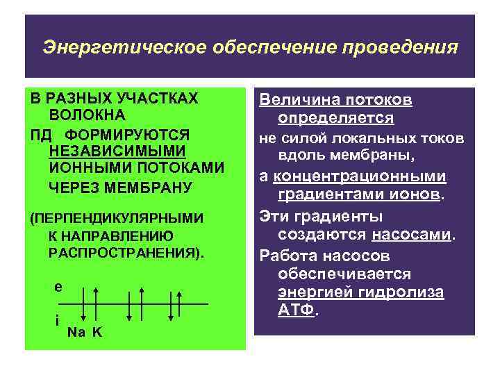 Энергетическое обеспечение проведения В РАЗНЫХ УЧАСТКАХ ВОЛОКНА ПД ФОРМИРУЮТСЯ НЕЗАВИСИМЫМИ ИОННЫМИ ПОТОКАМИ ЧЕРЕЗ МЕМБРАНУ