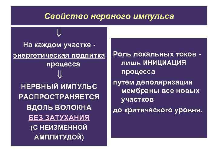 Свойство нервного импульса На каждом участке энергетическая подпитка процесса НЕРВНЫЙ ИМПУЛЬС РАСПРОСТРАНЯЕТСЯ ВДОЛЬ ВОЛОКНА