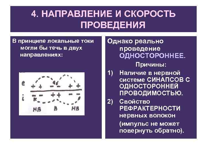 4. НАПРАВЛЕНИЕ И СКОРОСТЬ ПРОВЕДЕНИЯ В принципе локальные токи могли бы течь в двух