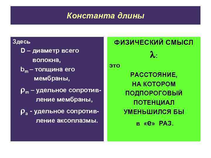 Константа длины Здесь ФИЗИЧЕСКИЙ СМЫСЛ D – диаметр всего волокна, bm – толщина его