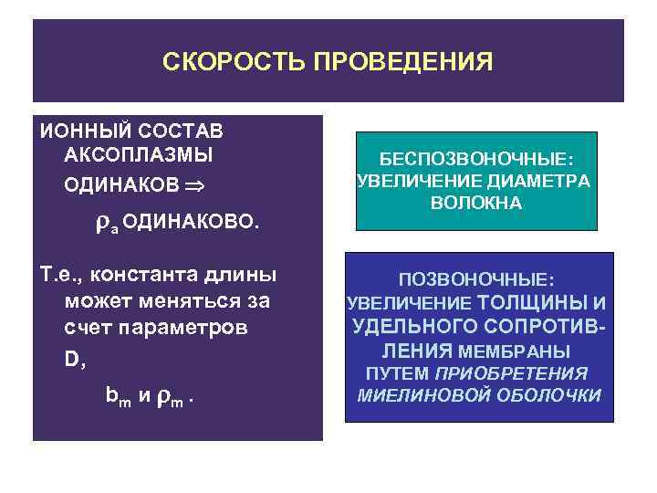 СКОРОСТЬ ПРОВЕДЕНИЯ ИОННЫЙ СОСТАВ АКСОПЛАЗМЫ ОДИНАКОВ a ОДИНАКОВО. Т. е. , константа длины может