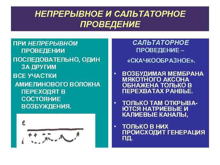 НЕПРЕРЫВНОЕ И САЛЬТАТОРНОЕ ПРОВЕДЕНИЕ ПРИ НЕПРЕРЫВНОМ ПРОВЕДЕНИИ ПОСЛЕДОВАТЕЛЬНО, ОДИН ЗА ДРУГИМ ВСЕ УЧАСТКИ АМИЕЛИНОВОГО