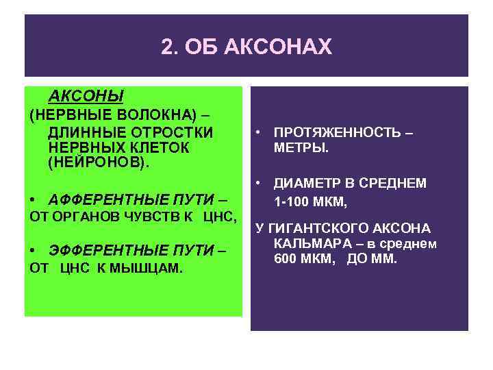 2. ОБ АКСОНАХ АКСОНЫ (НЕРВНЫЕ ВОЛОКНА) – ДЛИННЫЕ ОТРОСТКИ НЕРВНЫХ КЛЕТОК (НЕЙРОНОВ). • ПРОТЯЖЕННОСТЬ