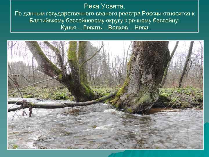 Река Усвята. По данным государственного водного реестра России относится к Балтийскому бассейновому округу к