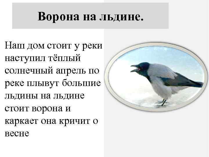 Ворона на льдине. Наш дом стоит у реки. Наступил наступил тёплый солнечный апрель по