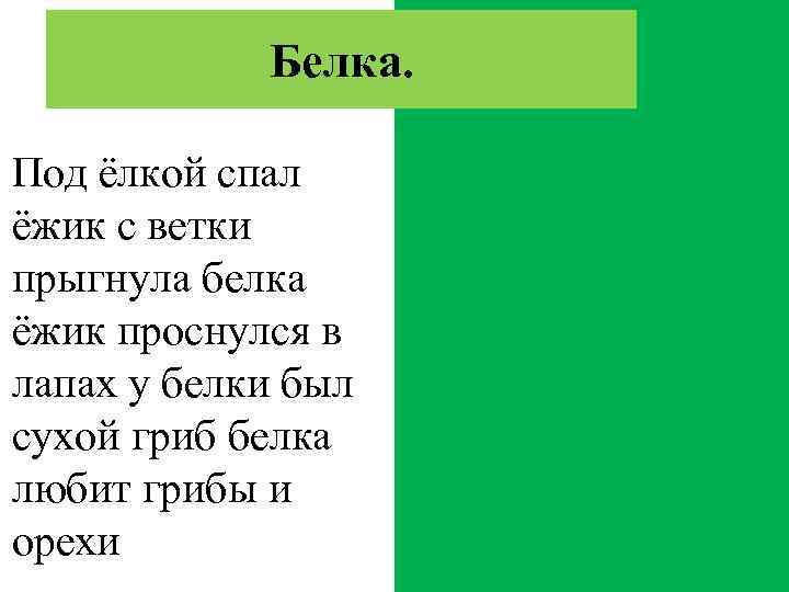 Белка. Под ёлкой спал ёжик с ветки прыгнула белка ёжик проснулся в лапах у