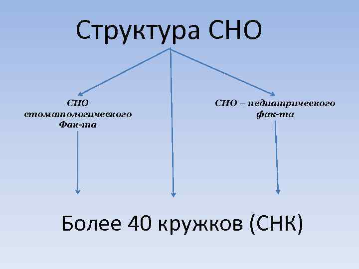 Структура СНО стоматологического Фак-та СНО – педиатрического фак-та Более 40 кружков (СНК) 