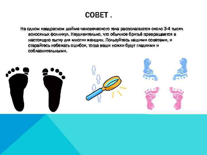 СОВЕТ. На одном квадратном дюйме человеческого тела располагаются около 3 -4 тысяч волосяных фолликул.