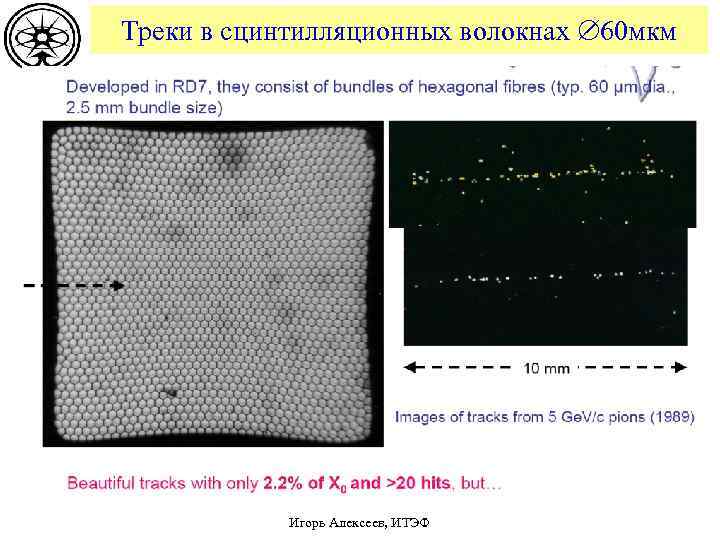 Треки в сцинтилляционных волокнах 60 мкм Игорь Алексеев, ИТЭФ 