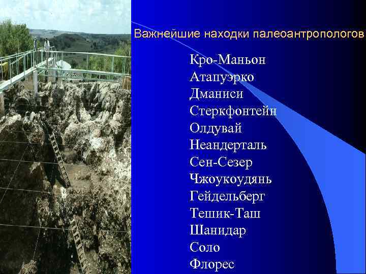 Важнейшие находки палеоантропологов Кро-Маньон Атапуэрко Дманиси Стеркфонтейн Олдувай Неандерталь Сен-Сезер Чжоукоудянь Гейдельберг Тешик-Таш Шанидар