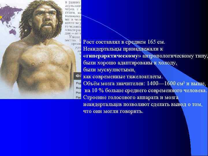 Рост составлял в среднем 165 см. Неандертальцы принадлежали к «гиперарктическому» антропологическому типу, были хорошо