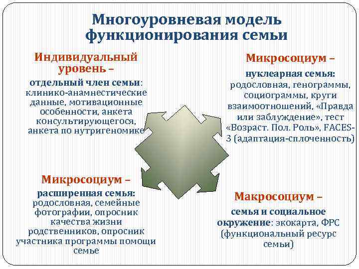 Многоуровневая модель функционирования семьи Индивидуальный уровень – отдельный член семьи: клинико-анамнестические данные, мотивационные особенности,