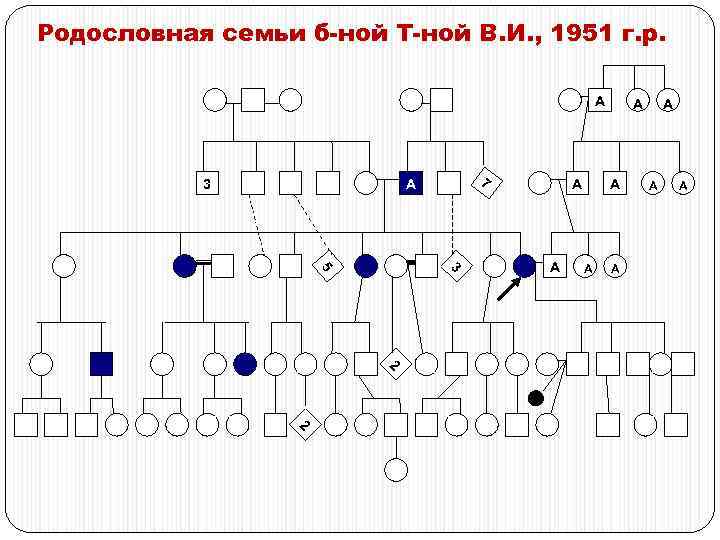 Родословная семьи б-ной Т-ной В. И. , 1951 г. р. А 3 7 А