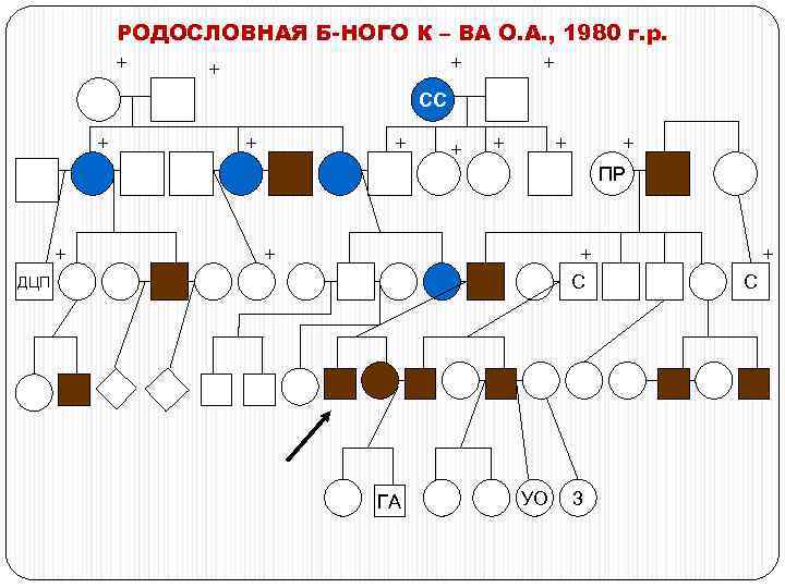 РОДОСЛОВНАЯ Б-НОГО К – ВА О. А. , 1980 г. р. + + СС