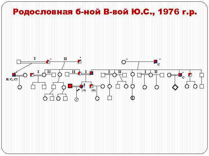 Родословная б-ной В-вой Ю. С. , 1976 г. р. I + + II +