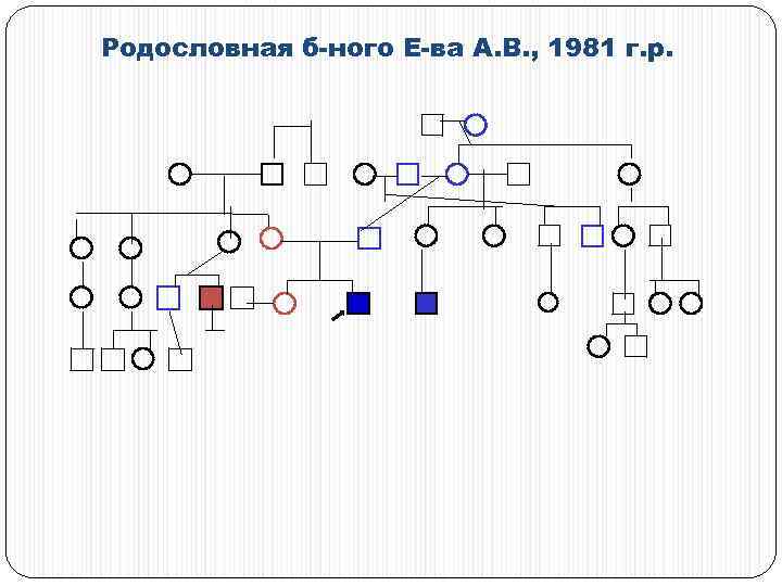 Родословная б-ного Е-ва А. В. , 1981 г. р. 