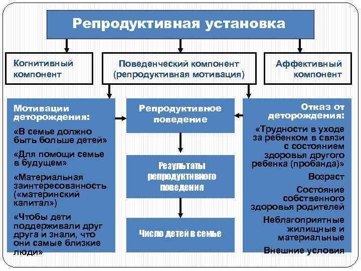 Репродуктивная установка Когнитивный компонент Мотивации деторождения: Поведенческий компонент (репродуктивная мотивация) Репродуктивное поведение «В семье