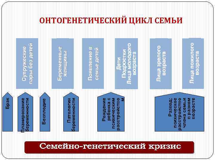 Развод; психическое расстройство члена семьи в разном возрасте Рождение ребенка с психическим расстройство м