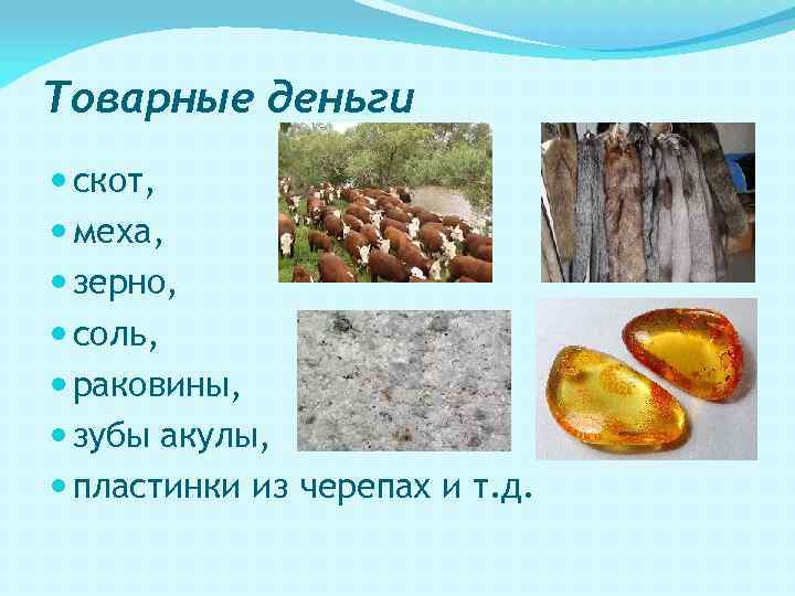 Товарные деньги скот, меха, зерно, соль, раковины, зубы акулы, пластинки из черепах и т.