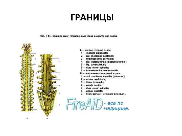  ГРАНИЦЫ 