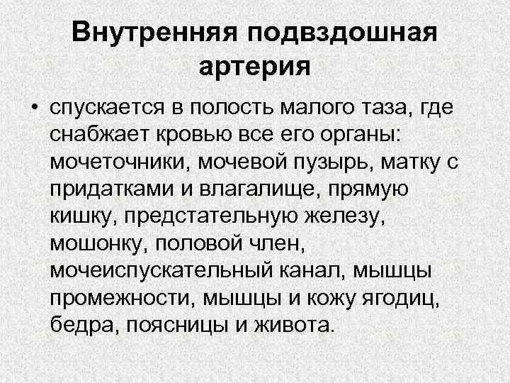 Внутренняя подвздошная артерия • спускается в полость малого таза, где снабжает кровью все его