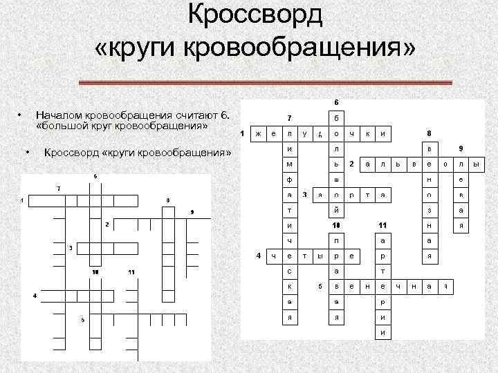 Кроссворд «круги кровообращения» • Началом кровообращения считают 6. «большой круг кровообращения» • Кроссворд «круги