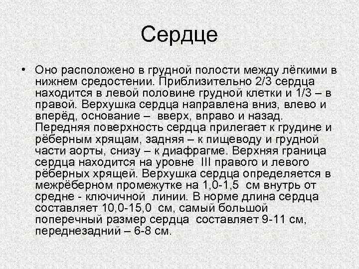 Сердце • Оно расположено в грудной полости между лёгкими в нижнем средостении. Приблизительно 2/3