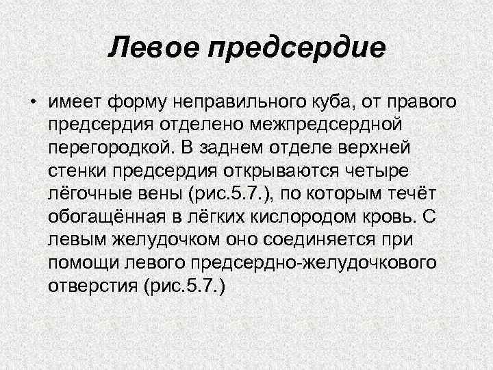 Левое предсердие • имеет форму неправильного куба, от правого предсердия отделено межпредсердной перегородкой. В