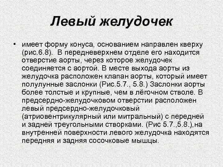 Левый желудочек • имеет форму конуса, основанием направлен кверху (рис. 6. 8). В передневерхнем