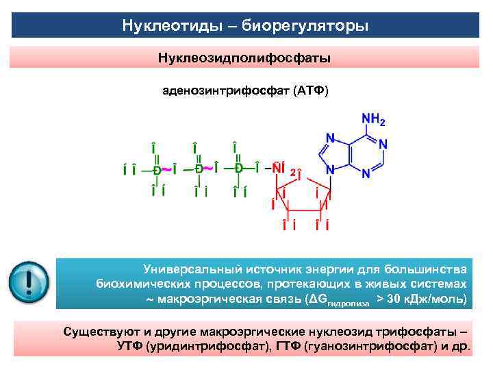 Нуклеотиды – биорегуляторы Нуклеозидполифосфаты аденозинтрифосфат (АТФ) Универсальный источник энергии для большинства биохимических процессов, протекающих