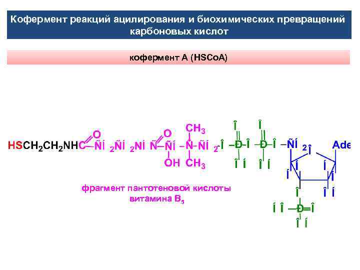 Кофермент реакций ацилирования и биохимических превращений карбоновых кислот кофермент А (HSCo. A) фрагмент пантотеновой