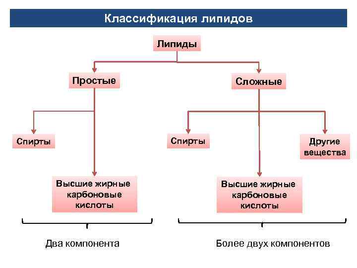 Классификация липидов Липиды Простые Сложные Спирты Высшие жирные карбоновые кислоты Два компонента Другие вещества