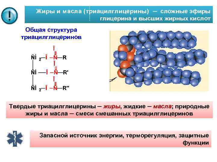 Жиры и масла (триацилглицерины) ─ сложные эфиры глицерина и высших жирных кислот Общая структура