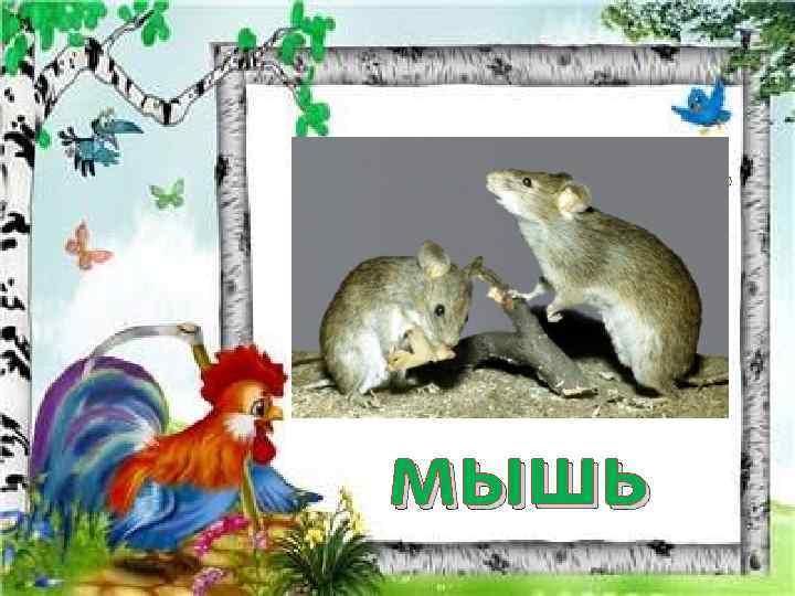 Отгадай загадку. Под полом таится, Кошки боится. мышь 