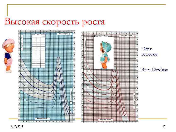 Высокая скорость роста 12 лет 10 см/год 14 лет 12 см/год 2/11/2018 40 