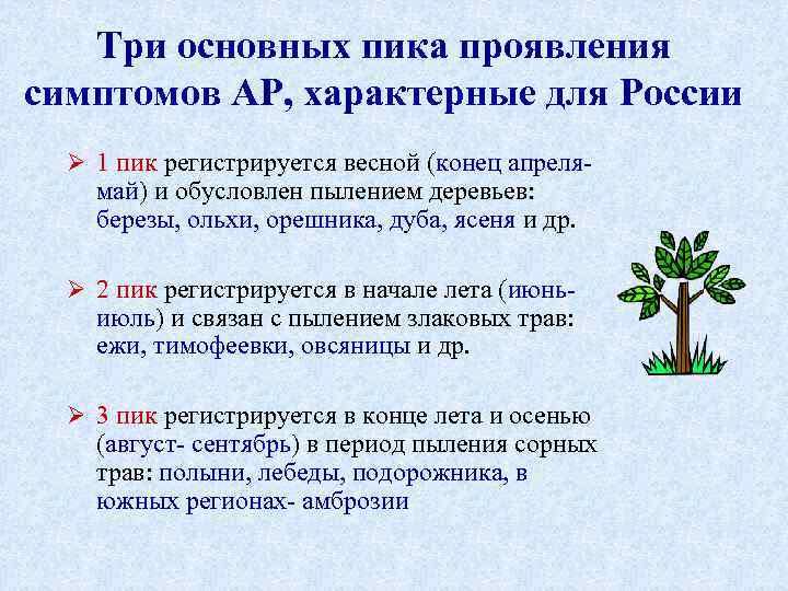 Три основных пика проявления симптомов АР, характерные для России Ø 1 пик регистрируется весной