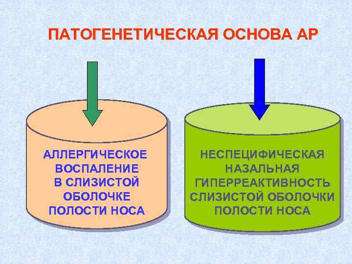 ПАТОГЕНЕТИЧЕСКАЯ ОСНОВА АР АЛЛЕРГИЧЕСКОЕ ВОСПАЛЕНИЕ В СЛИЗИСТОЙ ОБОЛОЧКЕ ПОЛОСТИ НОСА НЕСПЕЦИФИЧЕСКАЯ НАЗАЛЬНАЯ ГИПЕРРЕАКТИВНОСТЬ СЛИЗИСТОЙ