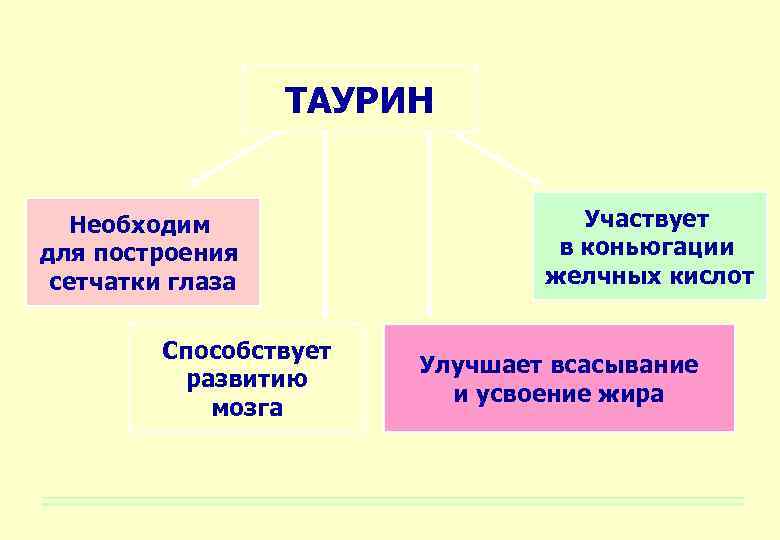 ТАУРИН Необходим для построения сетчатки глаза Способствует развитию мозга Участвует в коньюгации желчных кислот