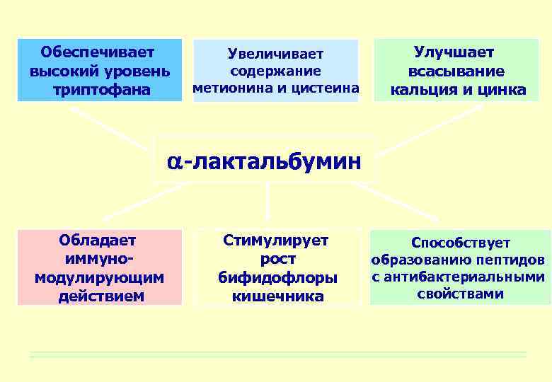 Обеспечивает высокий уровень триптофана Увеличивает содержание метионина и цистеина Улучшает всасывание кальция и цинка