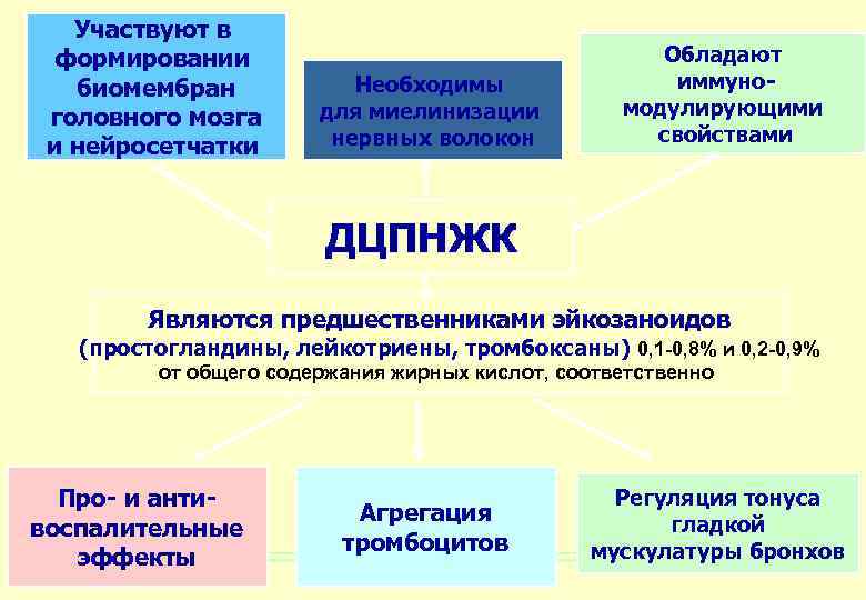 Участвуют в формировании биомембран головного мозга и нейросетчатки Необходимы для миелинизации нервных волокон Обладают