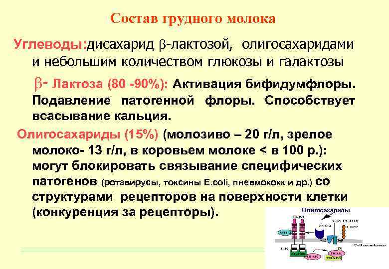 Состав грудного молока Углеводы: дисахарид -лактозой, олигосахаридами и небольшим количеством глюкозы и галактозы -