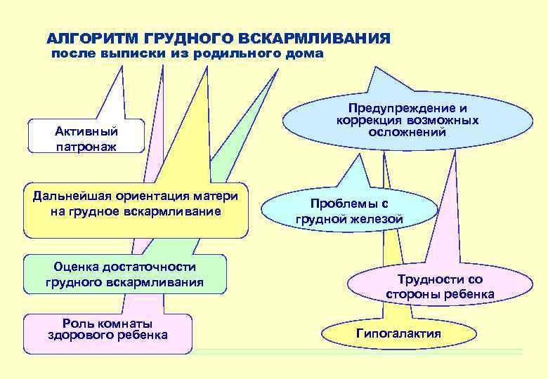 АЛГОРИТМ ГРУДНОГО ВСКАРМЛИВАНИЯ после выписки из родильного дома Активный патронаж Дальнейшая ориентация матери на