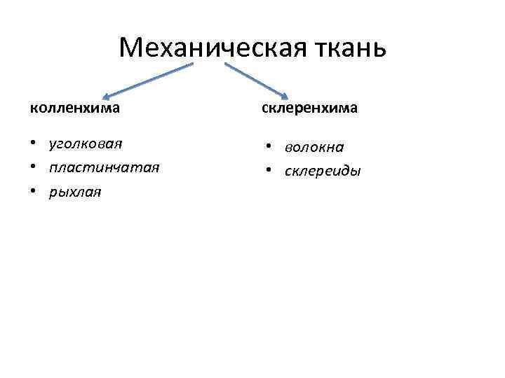 Механическая ткань колленхима склеренхима • уголковая • пластинчатая • рыхлая • волокна • склереиды