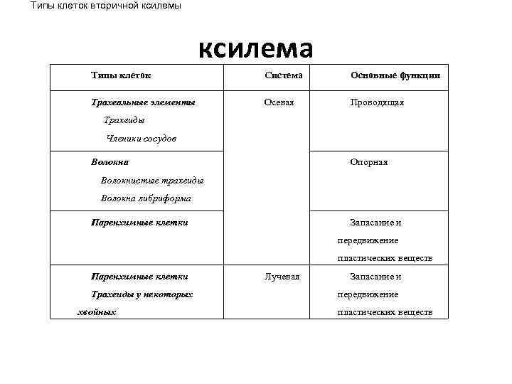 Типы клеток вторичной ксилемы ксилема Типы клеток Система Основные функции Трахеальные элементы Осевая Проводящая