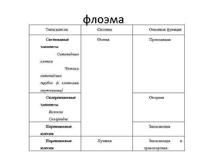 флоэма Типы клеток Система Основная функция Ситовидные Осевая Проводящая элементы Ситовидные клетки Членики ситовидных